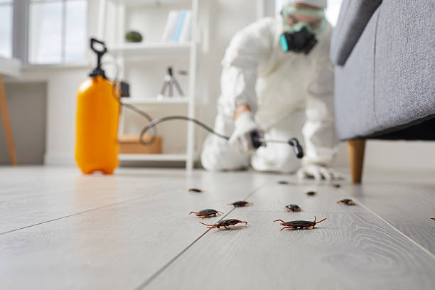 Commercial Kitchen Cockroach Control in Fort Meade